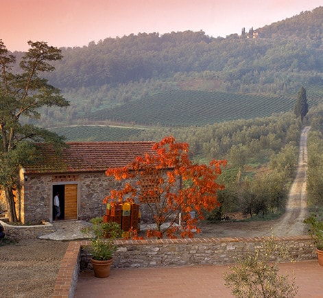 Il Corto - Toscana, Italia