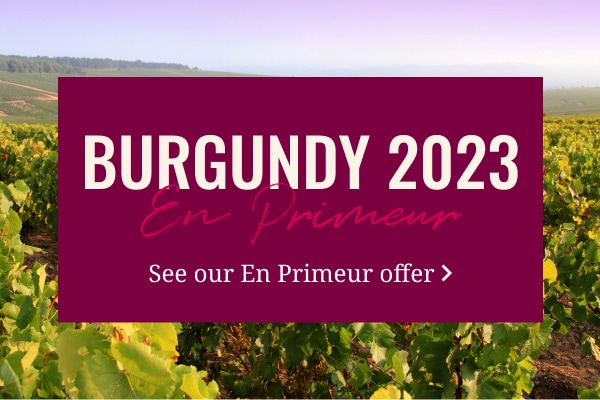 Burgundy 2023