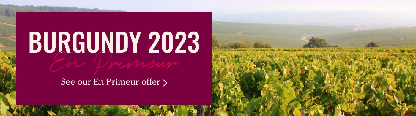 Burgundy 2023
