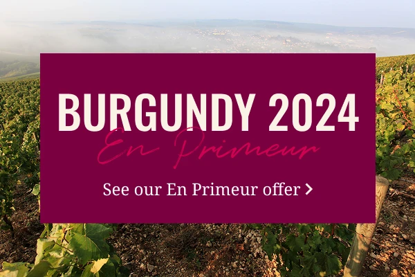 Burgundy 2024