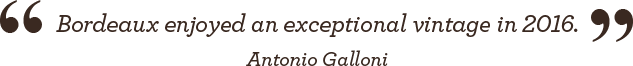“Bordeaux enjoyed an exceptional vintage in 2016.” - Antonio Galloni