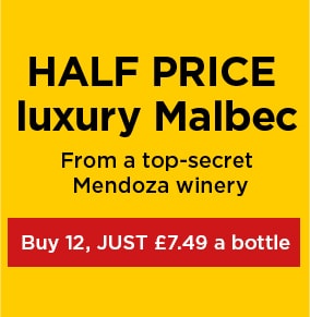 HALF PRICE luxury Malbec - From a top-serect Mendoza winery - Buy 12, Just £7.49 a bottle