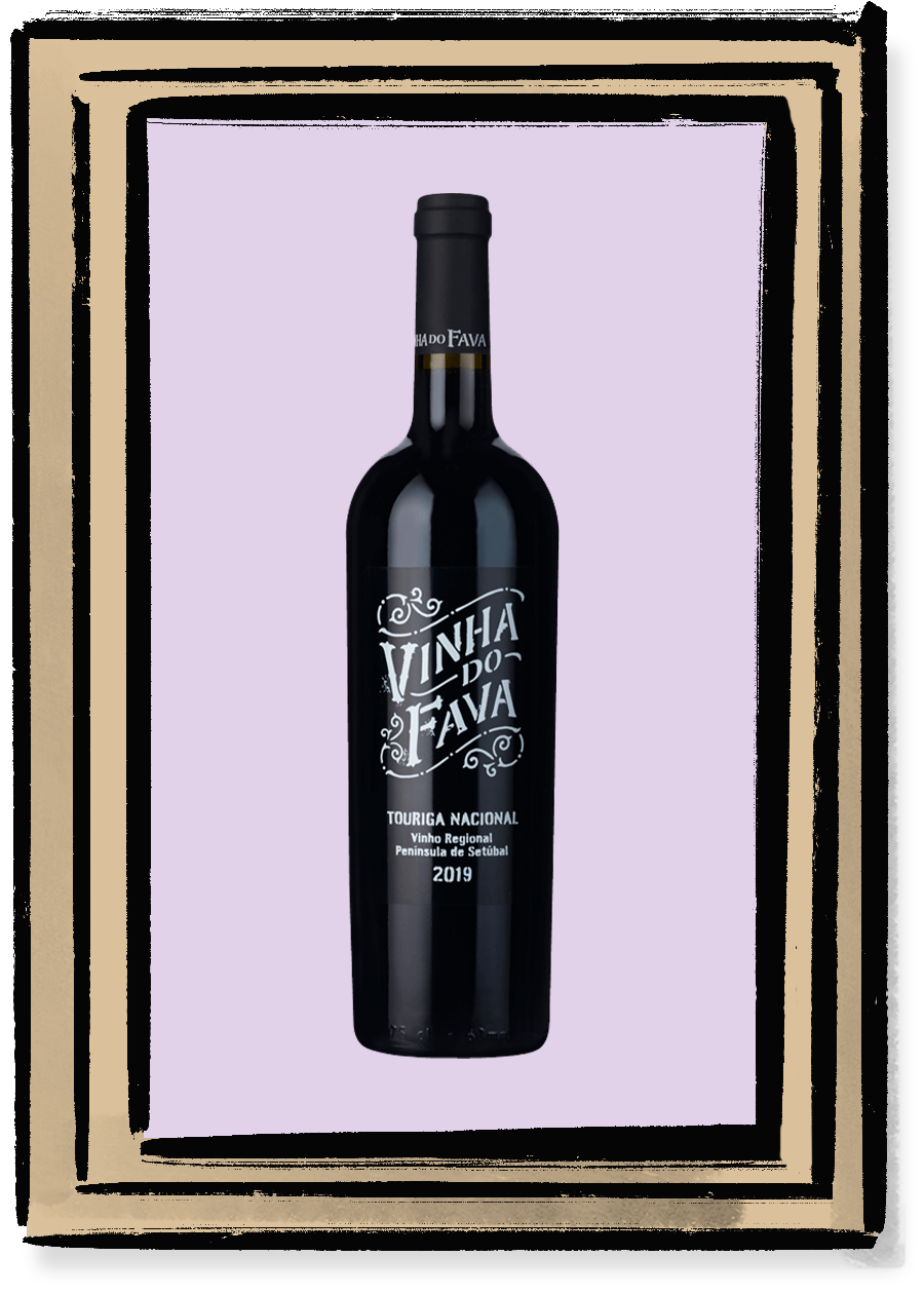 VINHA DO FAVA TOURIGA NACIONAL 2019