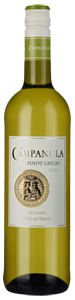 Campanula Pinot Grigio 2018