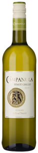 Campanula Pinot Grigio 2019