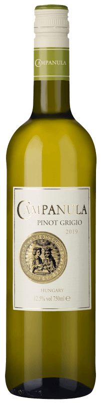 Campanula Pinot Grigio 2019