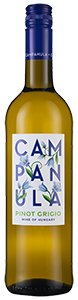 Campanula Pinot Grigio