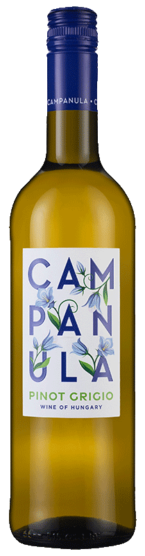 Campanula Pinot Grigio