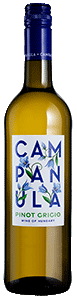 Campanula Pinot Grigio