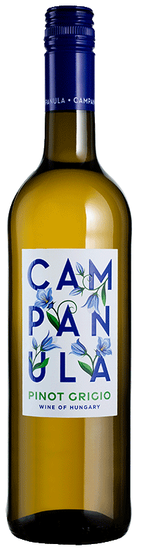 Campanula Pinot Grigio