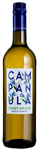 Campanula Pinot Grigio