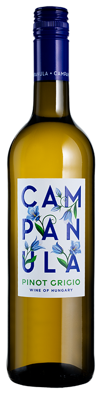 Campanula Pinot Grigio 2025
