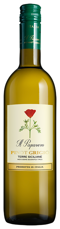 Il Papavero Pinot Grigio 2025 Il Papavero Pinot Grigio 2025