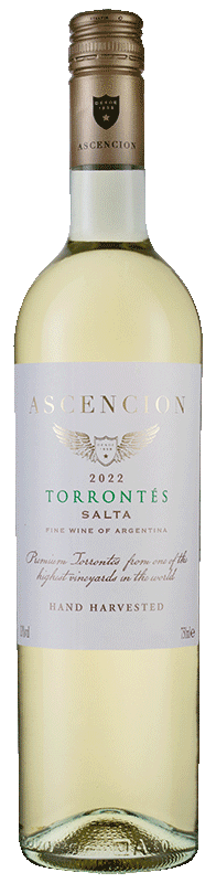 Torrontes wine discount
