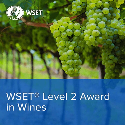 Wine School - WSET Level 2 in Wines March 2023, GLOUCESTER Wine School - WSET Level 2 in Wines March 2023, GLOUCESTER