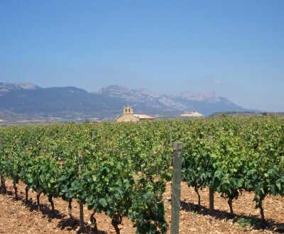 A taste of Spain – Surbiton SHOP TASTING - Friday 22nd September 2023, 7-9pm
