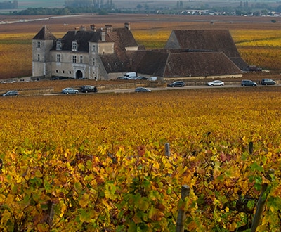 Discover the wines of Burgundy Discover the wines of Burgundy