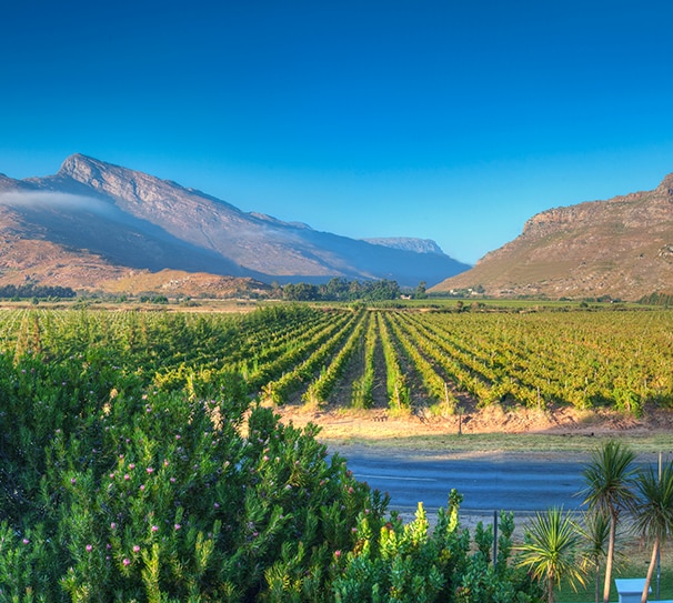 A Taste of South Africa with Helen McEvoy- Director at Wine Travel Experts A Taste of South Africa with Helen McEvoy- Director at Wine Travel Experts