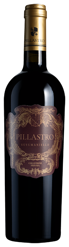 Pillastro Susumaniello 2024 Pillastro Susumaniello 2024