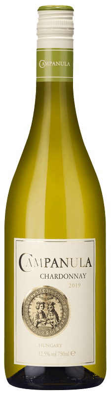 Campanula Chardonnay 2019