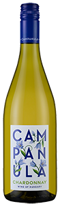 Campanula Chardonnay 2021
