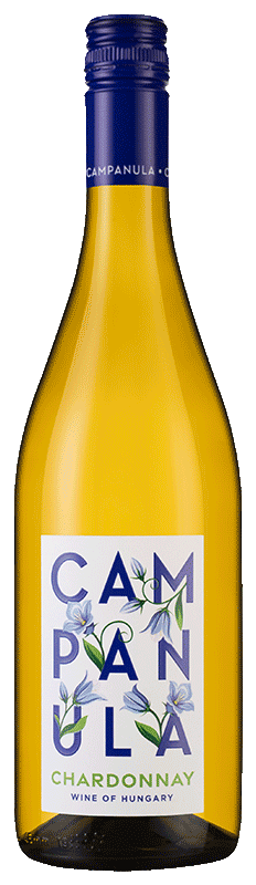 Campanula Chardonnay Campanula Chardonnay