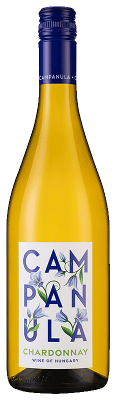 Campanula Chardonnay 2022