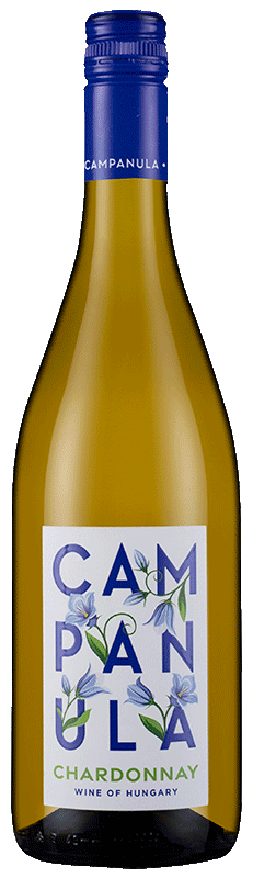 Campanula Chardonnay Campanula Chardonnay