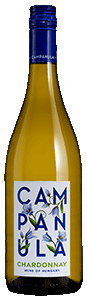 Campanula Chardonnay