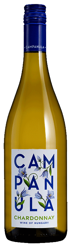 Campanula Chardonnay 2024 Campanula Chardonnay 2024