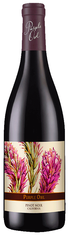 Purple Owl Pinot Noir 2022