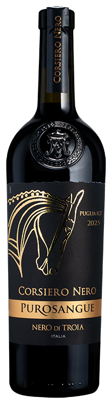 Corsiero Nero Purosangue