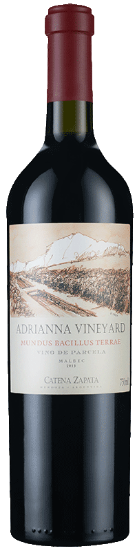 Adrianna Vineyard Mundus Bacillus Terrae 2019