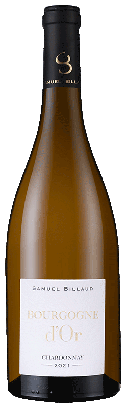 Samuel Billaud Bourgogne d'Or Chardonnay 2021 Samuel Billaud Bourgogne d'Or Chardonnay 2021