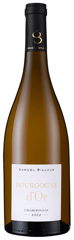 Samuel Billaud Bourgogne d'Or Chardonnay 2022