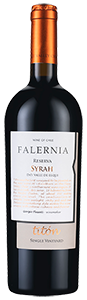 Falernia Titón Single Vineyard Reserva Syrah