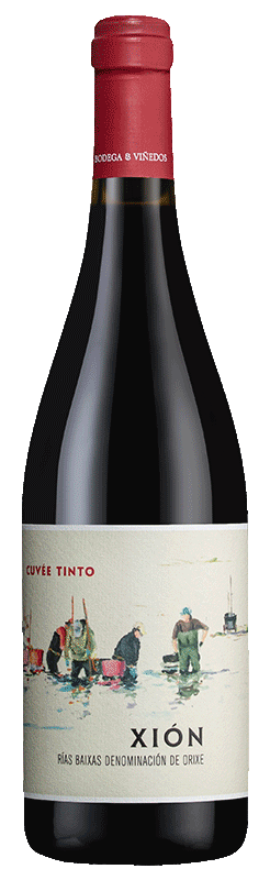 Bodegas Attis XiÃ³n CuvÃ©e Tinto Red Wine