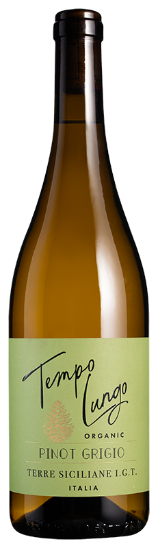 Tempo Lungo Organic Pinot Grigio 2025 Tempo Lungo Organic Pinot Grigio 2025