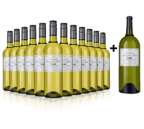 Laithwaites Sauvignon Blanc 2020 + FREE Magnum