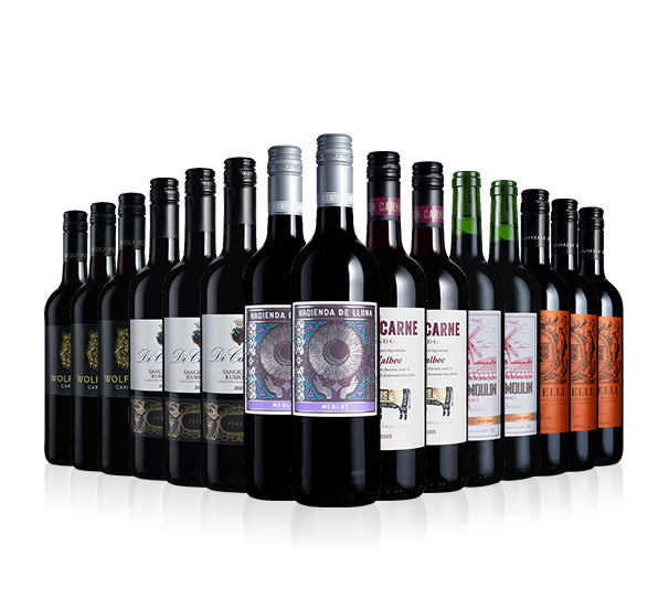 Essentials 15-bottle Red Sale Mix