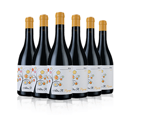Altos R Pigeage 2021 with 6-bottle Vineyard Partner Subscription