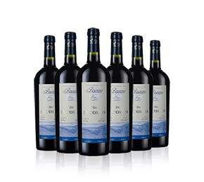 Vigna Il Corto Vineyard Partner Subscription Vigna Il Corto Vineyard Partner Subscription