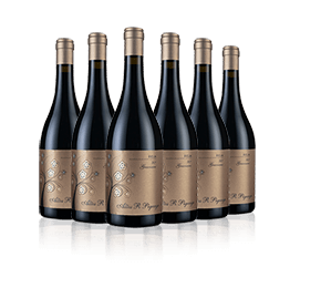 Altos R Pigeage Graciano (in wood)