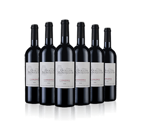Chateau Guillem de Montjustin Corbieres