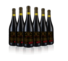 Priorat Selección Especial Numerada 66 2021 Priorat Selección Especial Numerada 66 2021