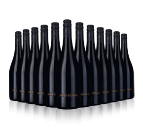 Don't Tell Gary Shiraz 2018 Don't Tell Gary Shiraz 2018