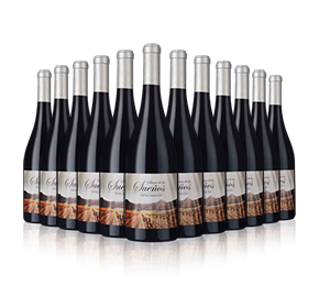 Sierra de Los Sueños 2021 with 12-bottle Vineyard Partner Subscription