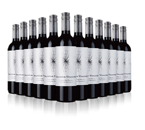 Dandelion Vineyards Pride of the Fleurieu Cabernet Sauvignon 2017 Dandelion Vineyards Pride of the Fleurieu Cabernet Sauvignon 2017