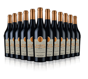 Narbo Martius 2020 Narbo Martius 2020