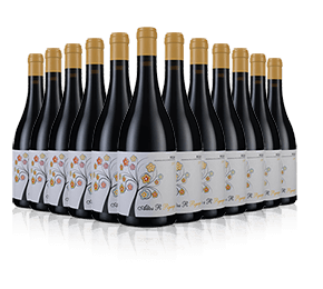 Altos R Pigeage 2021 with 12-bottle Vineyard Partner Subscription